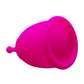 Copa Menstrual Paquete Completo